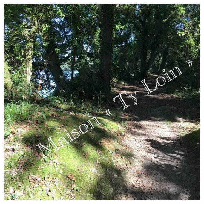 Villa Ty Loin Vue Mer 8 Personnes Logonna-Daoulas Bagian luar foto